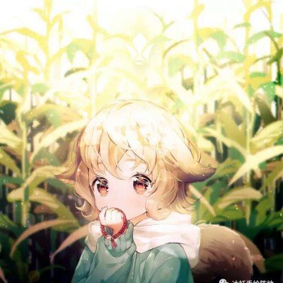 花251块买的女装
